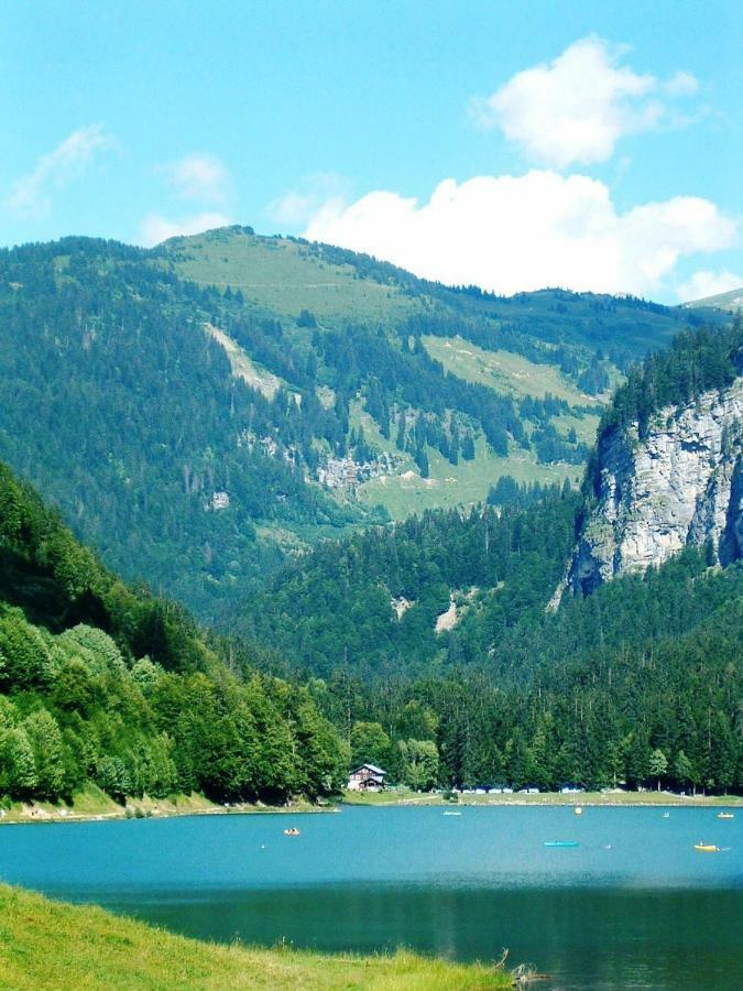 Appartement Leslie Morzine
